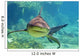 Approaching Shark Wall Mural