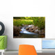 Wellness Bach Wall Mural