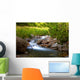 Wellness Bach Wall Mural