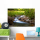 Wellness Bach Wall Mural