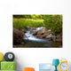 Wellness Bach Wall Mural