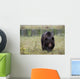 European Brown Bear Ursus Wall Mural