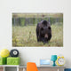 European Brown Bear Ursus Wall Mural