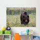 European Brown Bear Ursus Wall Mural