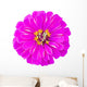 Zinnia Wall Decal