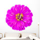 Zinnia Wall Decal