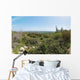 Mediterranean Hills Landscape