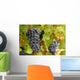 Grappes Raisin Wall Decal