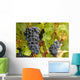 Grappes Raisin Wall Decal