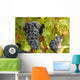 Grappes Raisin Wall Decal