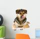 mixed breed dog (shepherd,husky,rottweiler) sticking out tongue Wall Decal