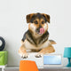 mixed breed dog (shepherd,husky,rottweiler) sticking out tongue Wall Decal