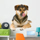 mixed breed dog (shepherd,husky,rottweiler) sticking out tongue Wall Decal