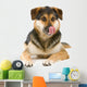 mixed breed dog (shepherd,husky,rottweiler) sticking out tongue Wall Decal