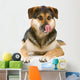 mixed breed dog (shepherd,husky,rottweiler) sticking out tongue Wall Decal