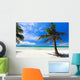 Tropical Paradise