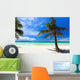 Tropical Paradise