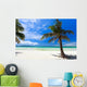Tropical Paradise