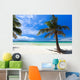 Tropical Paradise