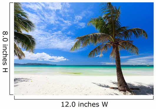 Tropical Paradise