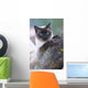 SIAMESE, THAI. Wall Mural