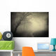 Road through Dark Forest Wall Decal