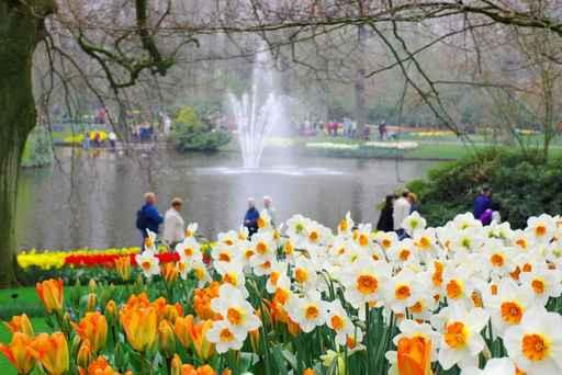 Dutch Garden Spring Wall Decal