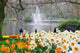 Dutch Garden Spring Wall Decal