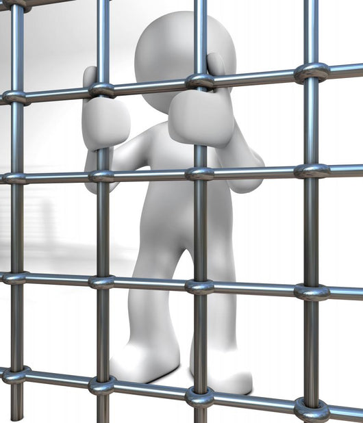 Prisoner Wall Mural
