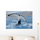 Orca Wall Mural