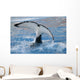 Orca Wall Mural