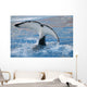 Orca Wall Mural