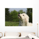 Kopf Vom Goldendoodle Wall Mural