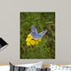 Butterfly Wall Mural