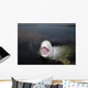 Talkative Beluga Whale Wall Decal