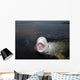 Talkative Beluga Whale Wall Decal