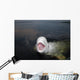 Talkative Beluga Whale Wall Decal
