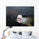 Talkative Beluga Whale Wall Decal