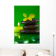 Green Wall Mural