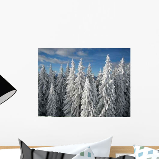 Baume im Winter Wall Decal