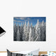 Baume im Winter Wall Decal