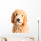 Goldendoodle Puppy Wall Decal
