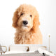 Goldendoodle Puppy Wall Decal