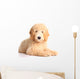 Golden doodle puppy Wall Decal
