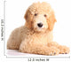 Golden doodle puppy Wall Decal