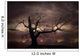 Silhouette of bare tree against sunset Wall Mural