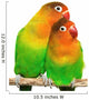 Pair Little Lovebirds Wall Decal