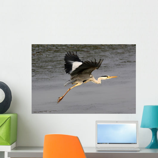 Flight Heron Wall Mural