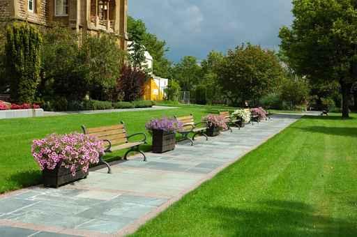 Benches Park Wall Decal
