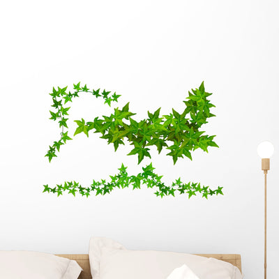 Efeuranke Wall Decal shown on a wall